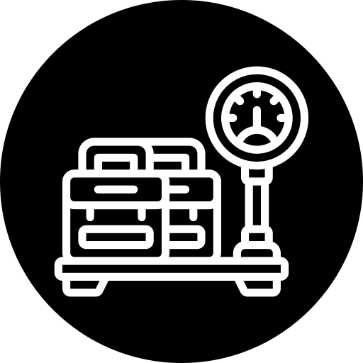 luggage scale 1