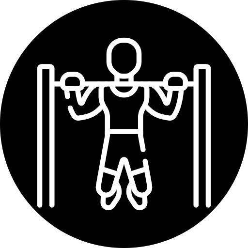 pull up bar