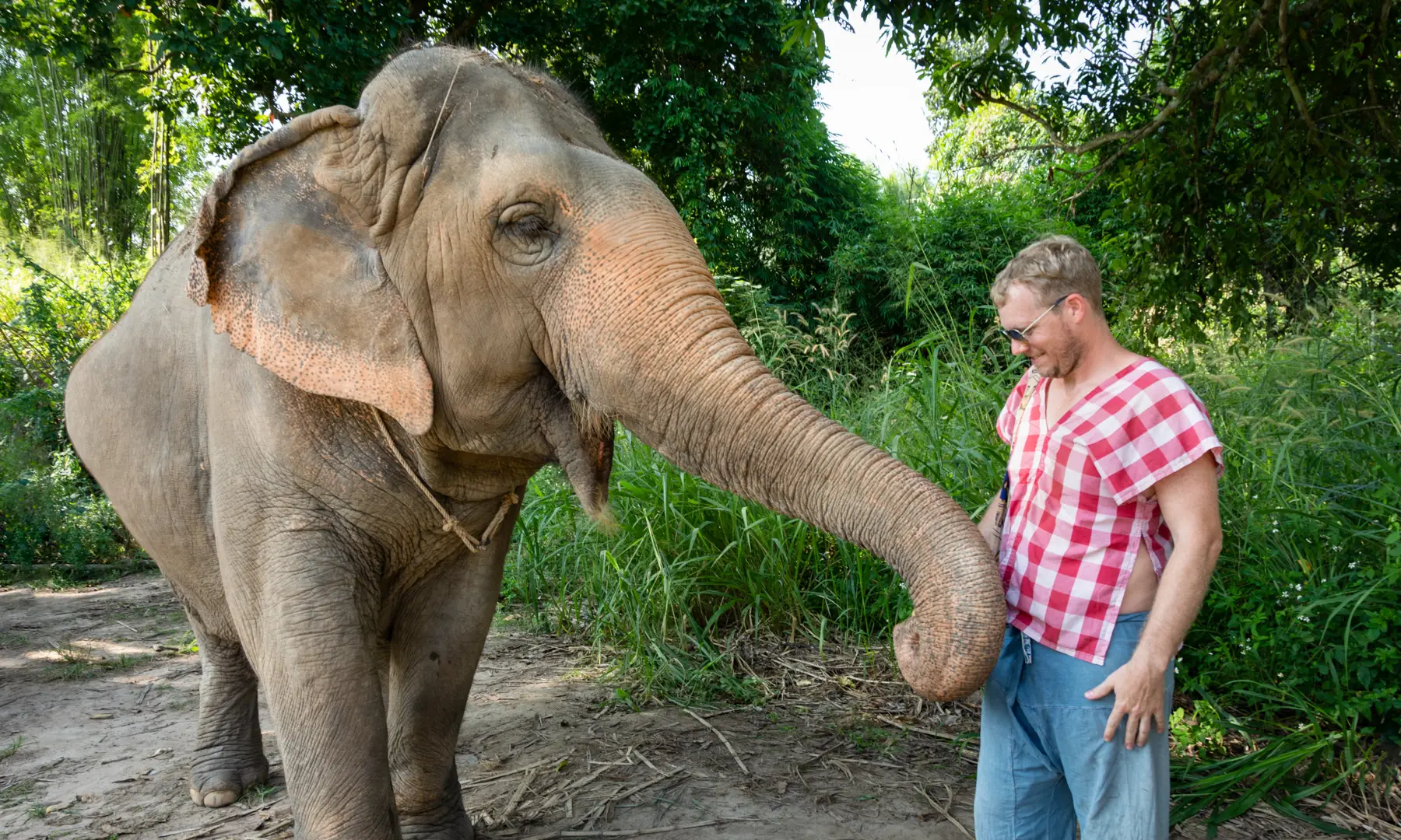 Top Activities in Chiang Mai You Cant Miss in 2025
