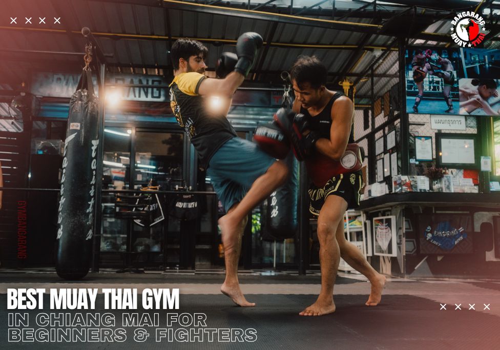 Best Muay Thai Gyms in Chiang Mai for Beginners & Fighters